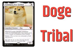 Commander Deck With Doge [upl. by Rickey]