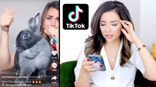 PET YOUTUBER REACTS VIRAL RABBIT TIK TOK VIDEOS [upl. by Pratte927]