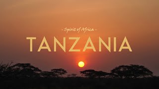 Tanzania  Spirit of Africa in 4K [upl. by Featherstone]