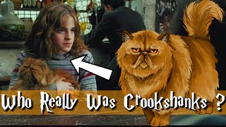 Crookshanks Origins Explained Who Is He Really [upl. by Blunt]