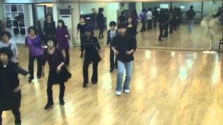 Wanna Dance With You  Line Dance Demo amp Walk Through [upl. by Hump598]