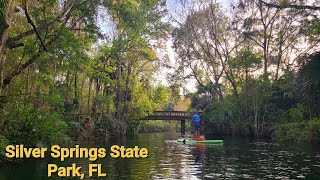 RVing In Silver Springs State Park Episode 124 [upl. by Archibold]