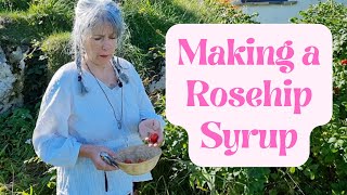 How to Make Rosehip Syrup [upl. by Elletsirhc]