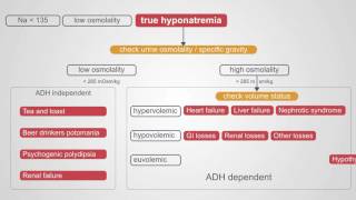 Diagnosing Hyponatremia A Comprehensive Algorithm [upl. by Aicert]