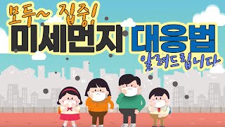 폐 통해 혈관 스며드는 미세먼지…우리 몸에 어떤 영향 [upl. by Atenek]