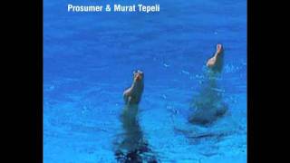 Prosumer amp Murat Tepeli  U amp I [upl. by Odnalro]