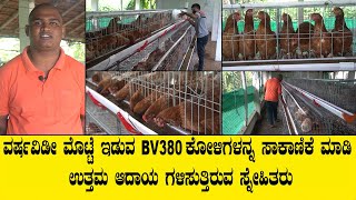 ವರ್ಷವಿಡೀ ಮೊಟ್ಟೆ ಇಡುವ BV380 ಕೋಳಿಗಳನ್ನ ಸಾಕಾಣಿಕೆ ಮಾಡಿ ಉತ್ತಮ ಆದಾಯ ಗಳಿಸುತ್ತಿರುವ ಸ್ನೇಹಿತರುBV380 KOLI FARM [upl. by Sherrer]