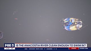 Anacostia River opens to swimmers [upl. by Ingeborg]