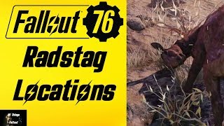 Fallout 76 Radstag Locations [upl. by Veneaux]