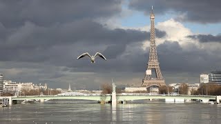 Drone footage shows Paris flooding [upl. by Chrysa]