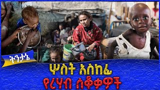 ሦስት አስከፊ የረሃብ ሰቆቃዎች  Ahadu TV [upl. by Nerrat]