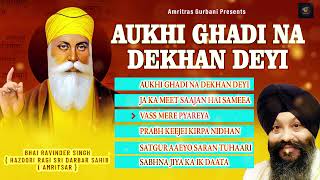 Aukhi Ghadi Na Dekhan Devi  Shabad Kirtan  Gurbani  Bhai Ravinder Singh Ji  Waheguru Simran [upl. by Gorlin]