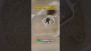 How to use soy litter LIKE A PRO [upl. by Wardieu]