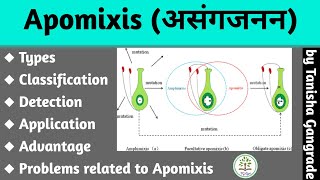 Apomixis  Facultative apomixis  Obligative apomixis  Recurrent Apomixis  by Tanisha Gangrade [upl. by Alyahsat239]