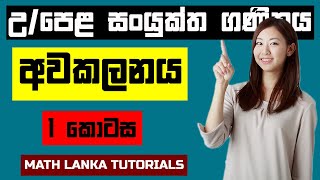 Awakalanaya sinhala part 1  Al combined maths lessons sinhala [upl. by Ettelrats]