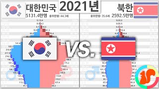 대한민국 vs 북한 인구 피라미드 변화 1950년2100년 [upl. by Sukramed]