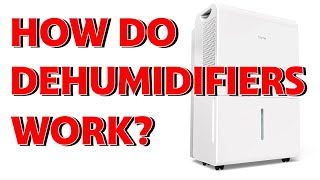 How do dehumidifiers sense the humidity level in the air and know when to shut off automatically [upl. by Ahsiele]