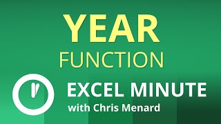 Excel YEAR Function  Excel One Minute Functions Explained [upl. by Swor]