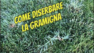 Come diserbare la gramigna su un prato di microterme [upl. by Caye]