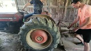 Massey Ferguson 135 Farm Tractor  First start up of 2022 [upl. by Macdermot251]