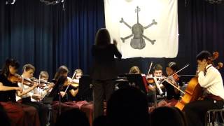 Swashbucklin Sailors Orchestra Concert [upl. by Dalpe]