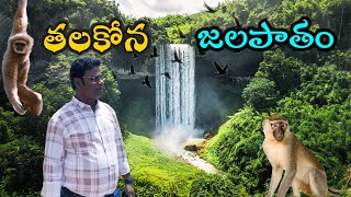 తలకోన జలపాతం … Talakona Forest vlog [upl. by Gnilyam740]