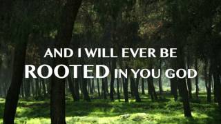 Kerrie Roberts Rooted Lyric Video [upl. by Hadias]