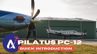 PILATUS PC12 NGX Quick Introduction 2024 [upl. by Attenaz65]