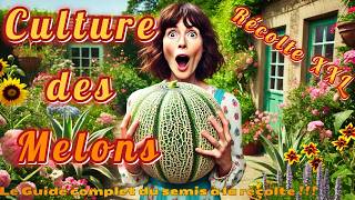 🍈 Culture du Melon  Du Semis à la Récolte 🍈Guide Complet [upl. by Kappel]