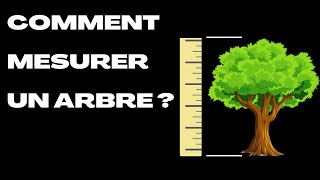 COMMENT TAILLER UN ARBRE DORNEMENT EN FORME NATURELLE ÉLAGAGE HARMONIEUX [upl. by Nylahs415]