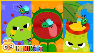 ¿Una planta que come insectos  planta insectívora  juego de pintura  NINIkids [upl. by Ujawernalo]