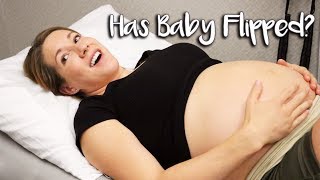 Has My Baby Flipped  36 Week Pregnancy Appointment [upl. by Maribelle804]