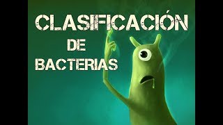 CLASIFICACIÓN DE BACTERIAS 3 [upl. by Sorilda328]