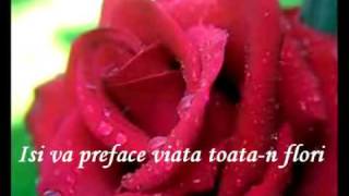 Alla Pugacheva  Milioane De Trandafiri Rosii Million Roses  Milion Alix Roz [upl. by Acinna]