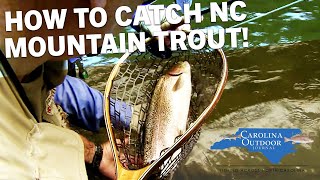 How To Catch Mountain Trout In North Carolina [upl. by Moshe190]