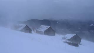 Fuerte tormenta de nieve  Tormenta de invierno en las montañas de Ucrania  Viento aullador [upl. by Aidyn]