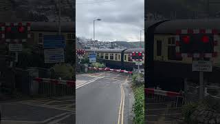 Upper Dartmouth Crossing  The Dartmouth and Paignton Steam Railway  shorts [upl. by Oakes]