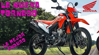 Honda XR 300 L TORNADO  PRECIO  TOP SPEED  FICHA TECNICA [upl. by Ornstead]