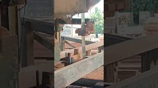 kayu bengkirai sawmill sawmillindonesia [upl. by Eiser824]