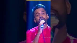 අපි කවුරුද  Api Kauruda 🎶 viralvideo senakabatagoda music coversong [upl. by Nasas]