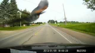 Bird Hitting my windshield [upl. by Maleen]