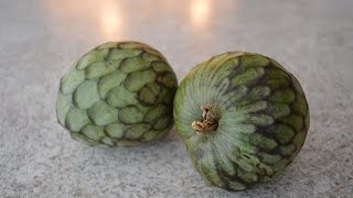 How to Prepare amp Eat Cherimoya  aka Custard Apple Cooking with Kimberly [upl. by Bertold]