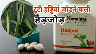 Himalaya Hadjod capsules benefit टूटी हुई हड्डियों को जल्दी जोड़ने वाली हड़जोड़ [upl. by Odnomra66]