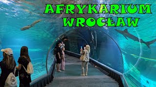 Afrykarium ZOO Wrocław [upl. by Ravel]