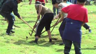 EL PALIN JUEGO MAPUCHE [upl. by Eiramanel60]