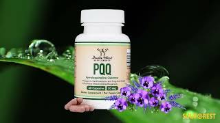 PQQ Supplement – 20mg 60 Capsules Pyrroloquinoline Quinone Sleep Quality Support Supplements [upl. by Trebreh584]