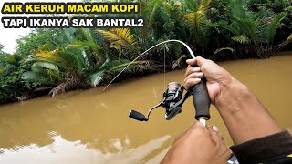 MANCING IKAN BESAR [upl. by Aneetsirk796]