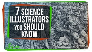 7 Science Illustrators You Should Know [upl. by Pepita]