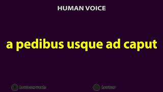 How To Pronounce a pedibus usque ad caput [upl. by Shellans]