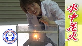 水中花火  米村でんじろう公式science experiments【実験】 [upl. by Simmonds61]